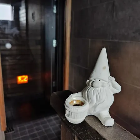 Arctic Aurora Hideaway *