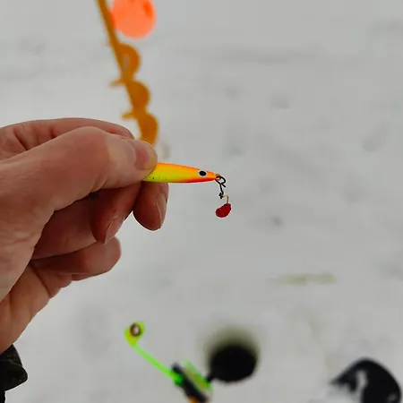 Arctic Aurora Hideaway Rovaniemi